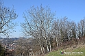 VBS_0983 - Santuario Madonna di Mombirone - Canale (CN)